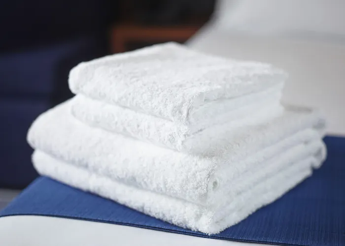 فندق هوليداي إن آيربورت فرانكفورت