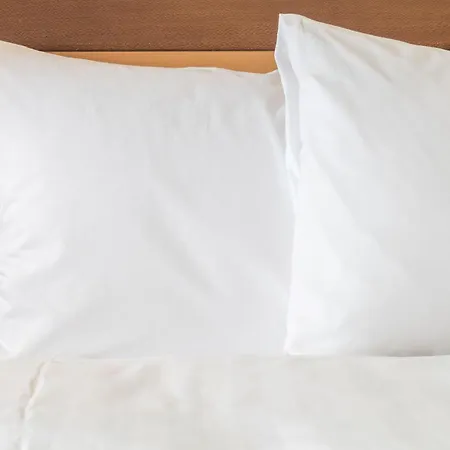 Holiday Inn Frankfurt Airport By Ihg 4*