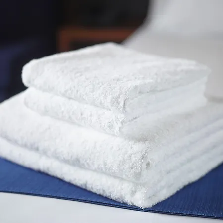 Hotel Frankfurt Airport By Ihg Francoforte sul Meno